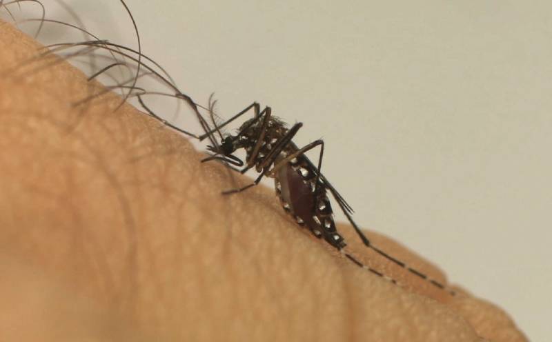 Amazonas tem quase 7 mil casos de dengue registrados em 2023