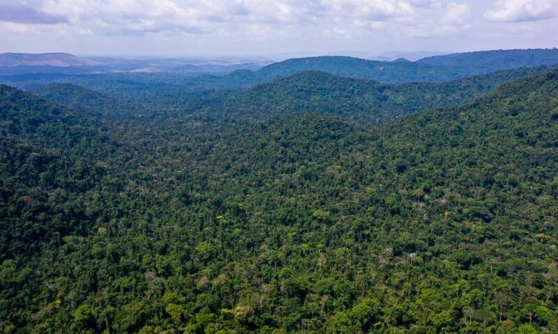 Fundo Amazônia receberá US$ 500 milhões dos EUA em cinco anos