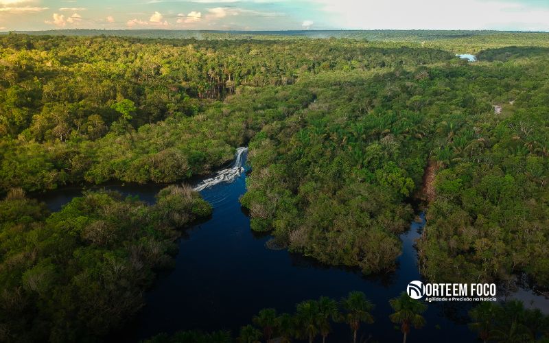 Região Amazônica tem diminuição de 33% em áreas com alerta de desmatamento