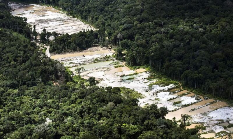 Operação destrói dez garimpos ilegais no Amazonas