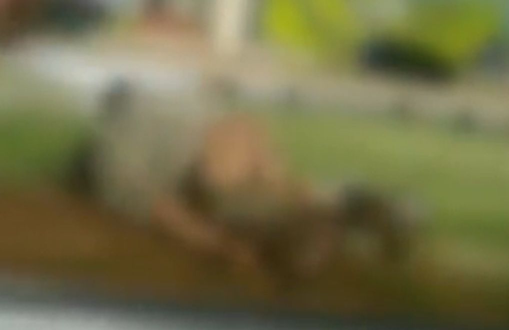Vídeo: motorista flagra vuco-vuco em plena parada de ônibus