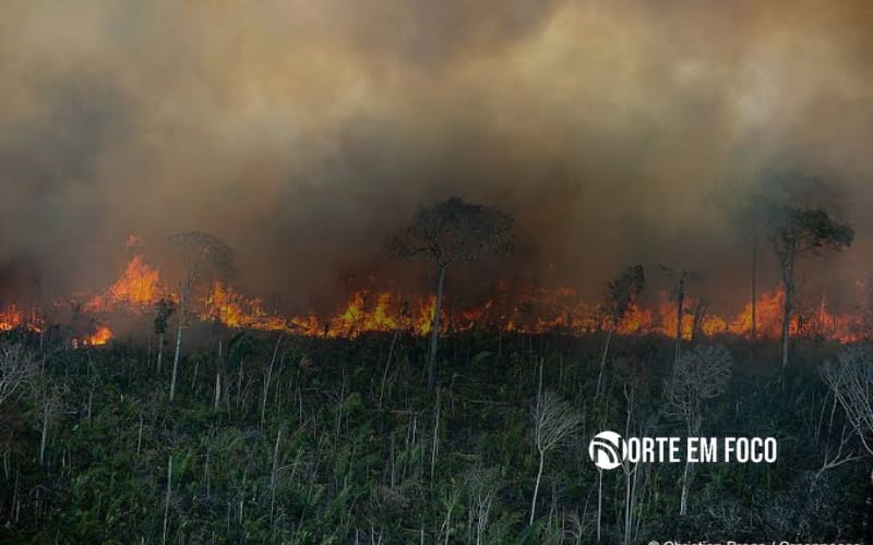 Respostas tardias do Governo Lula agravaram crise das queimadas no Amazonas
