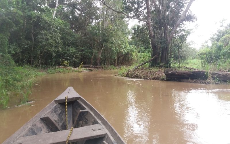 Amazônia:  A luta pelo acesso a água potável nas comunidades ribeirinhas