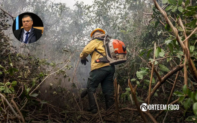 Dino manda governo ampliar combate ao fogo na Amazônia e no Pantanal