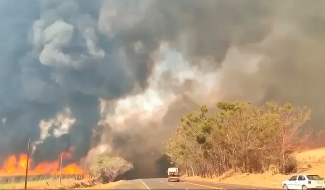 Mais de 80% dos focos de calor em SP estão em áreas de agropecuária