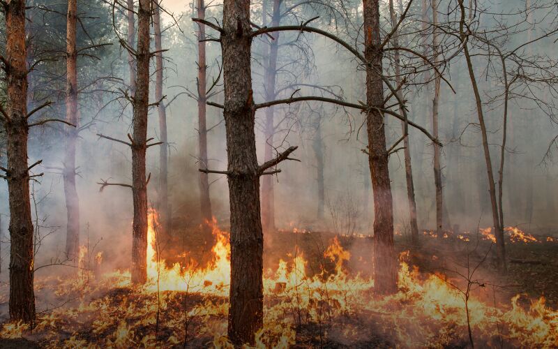 Militares do Exército começam a combater incêndios no Tocantins