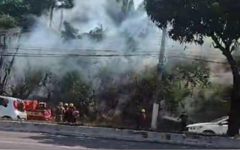 Incêndio atinge área de mata do Inpa