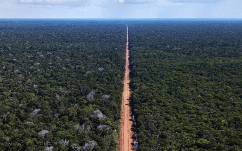 BR-319: uma facada no coração da Amazônia