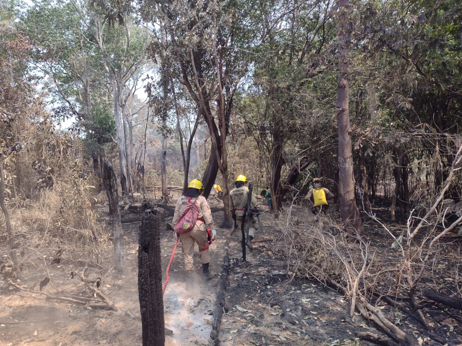 Unidades de Conservação do Baixo Rio Negro recebem ações de combate integrado a focos de incêndio