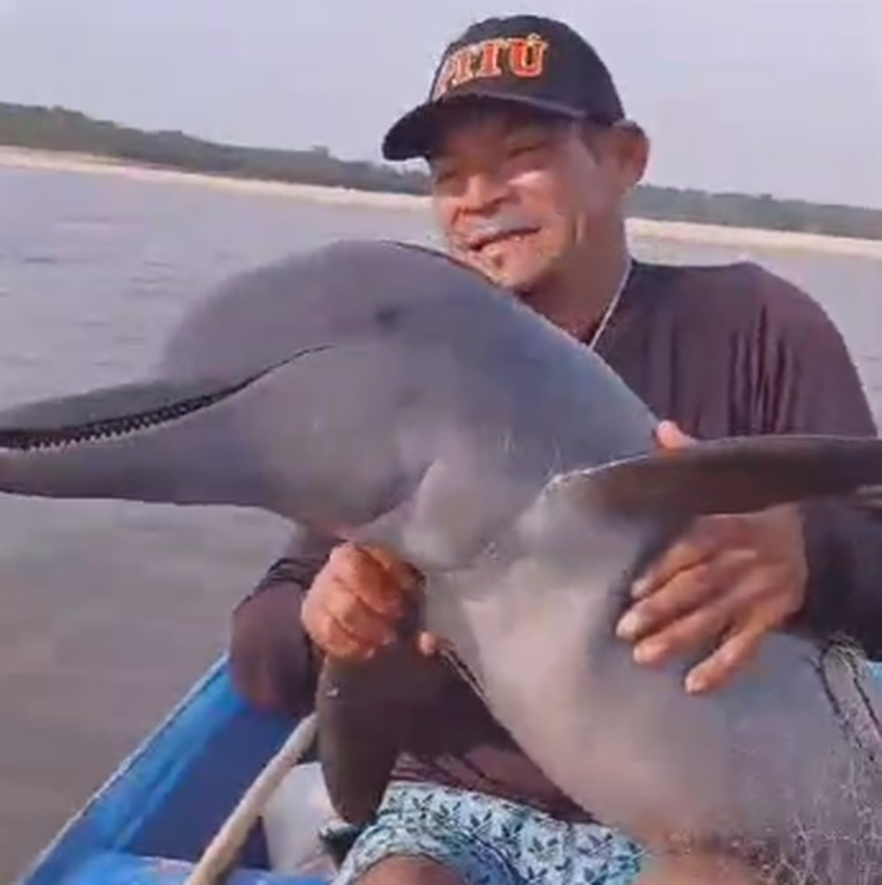 Boto fica preso em rede de pesca e pescadores salvam animal