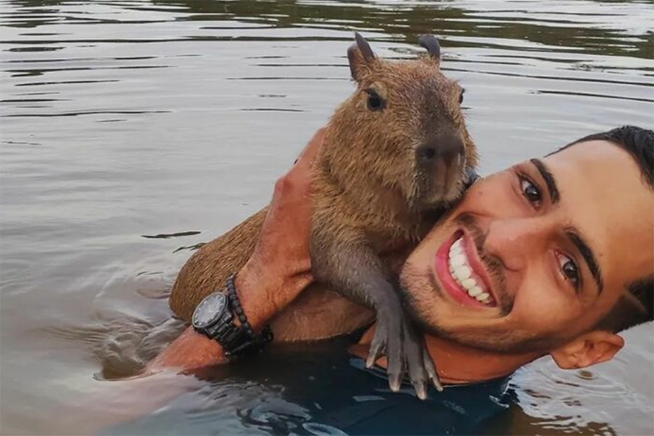 Capivara ‘Filó’ é atingida por um remo no AM: “Tentaram matar a Filó”!