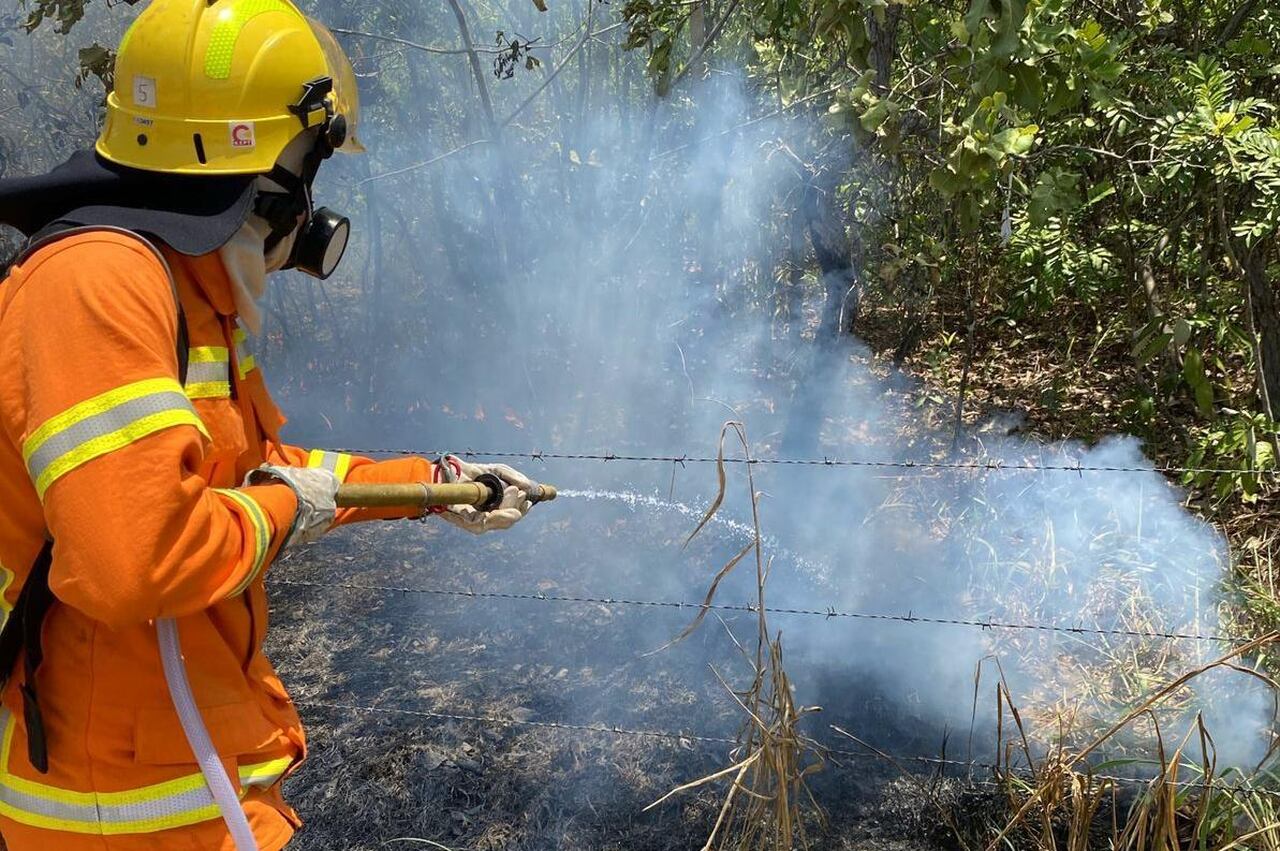 Corpo de Bombeiros combateu mais de 20 mil focos de incêndio com as Operações Aceiro e Céu Limpo