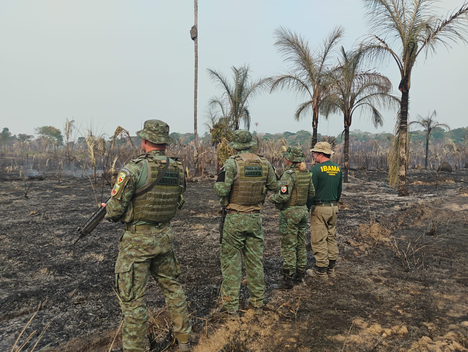 Ibama combate desmatamento e queimadas ilegais no Amazonas