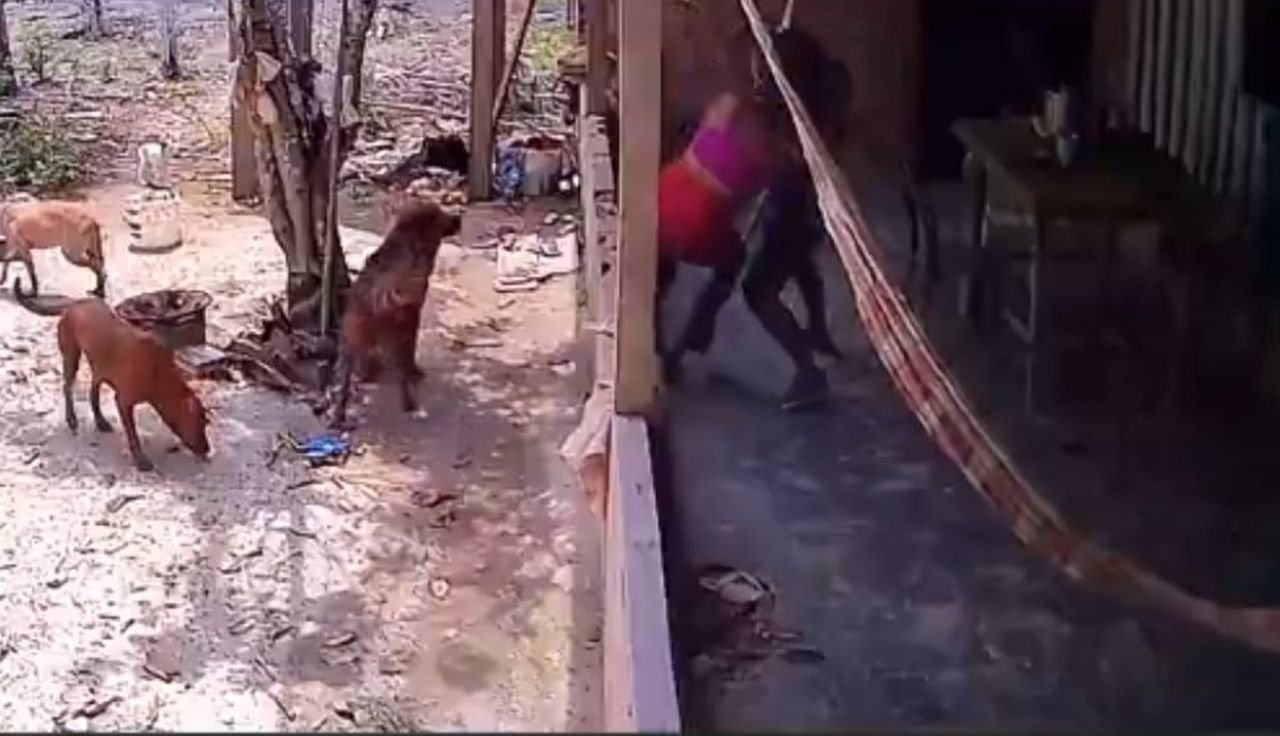 Foto: Divulgação Ex não aceita fim e tenta matar mulher na frente dos filhos no AM
