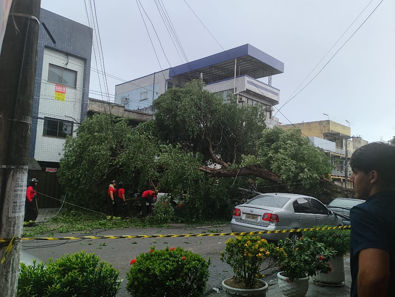 Árvore tomba e causa prejuízos durante chuva em Manaus; VEJA VÍDEOS