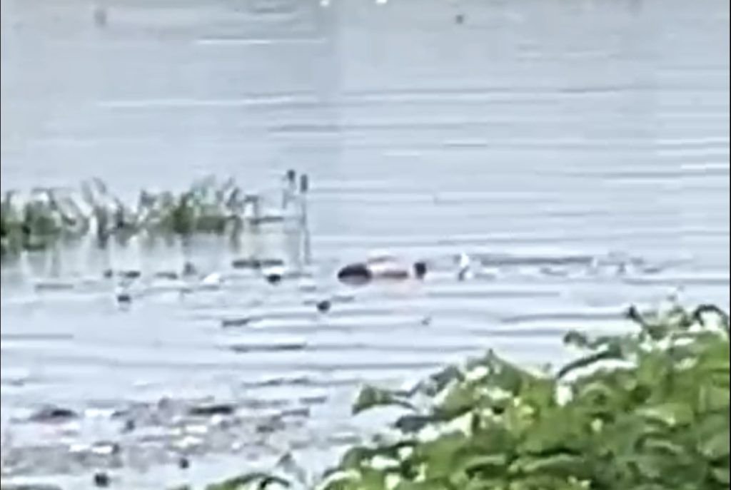 Corpo de jovem desaparecido é encontrado no rio Negro em Manaus Corpo de jovem desaparecido é encontrado no rio Negro em Manaus