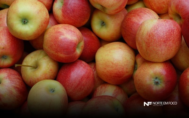 Foto: Canva - Norte em Foco Exportação de frutas cresceu 26% no primeiro trimestre de 2025