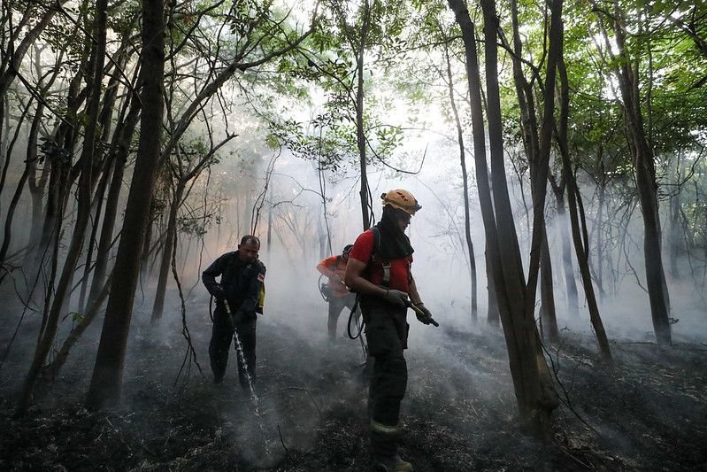 Foto: Divulgação/SECOM Municípios do AM sob gestão do União Brasil são contemplados no plano nacional de combate ao desmatamento e queimadas