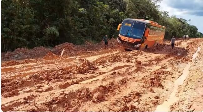 Plano BR-319: infraestrutura com proteção e sustentabilidade na Amazônia