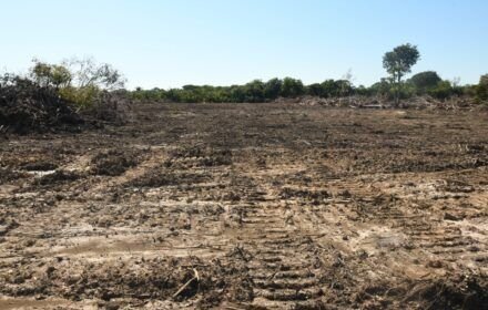 Senado aprova em dois turnos PEC do marco temporal de terras indígenas com votações aceleradas