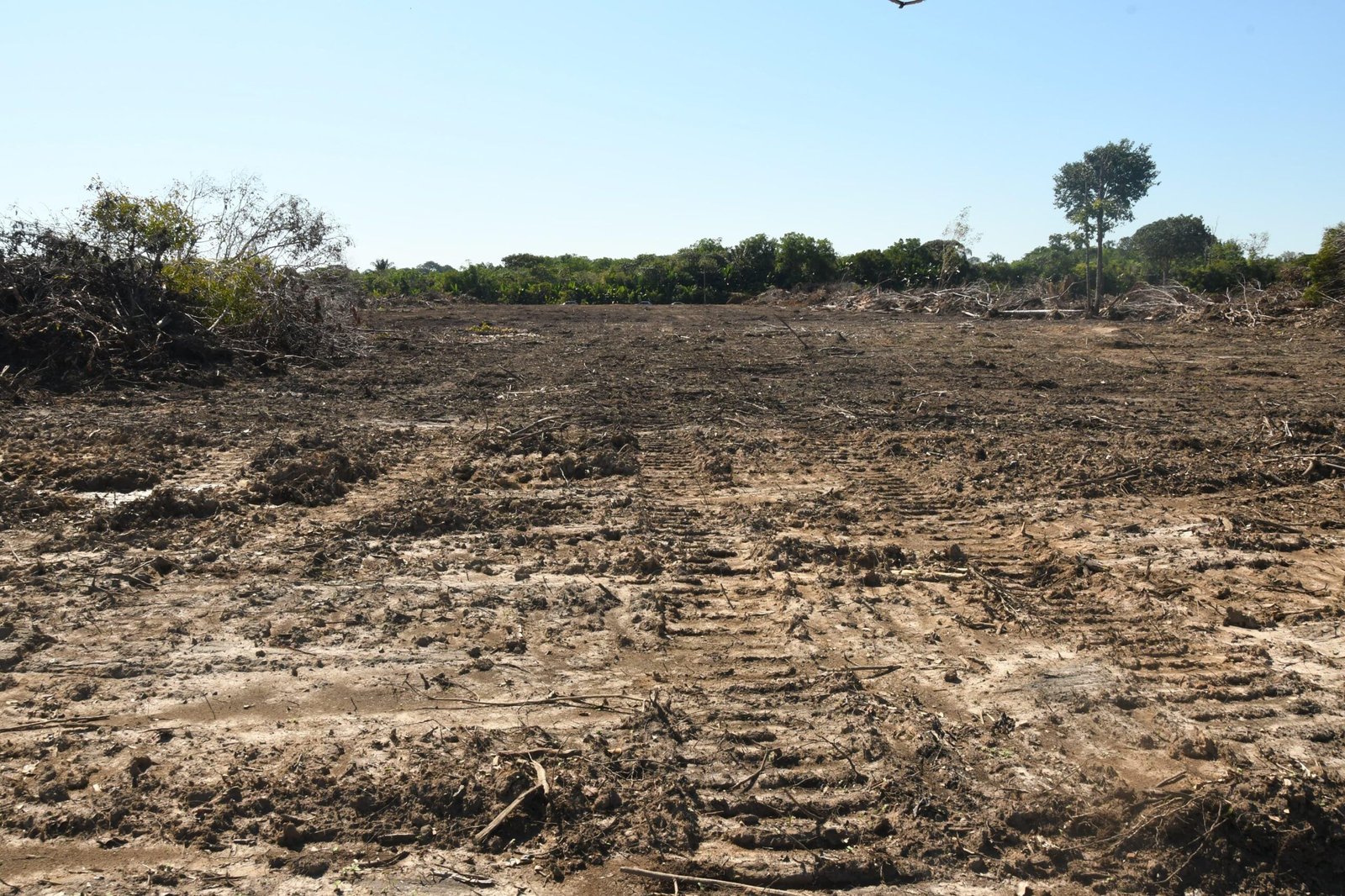 Proposta prevê demarcação de territórios segundo ocupação de 1988 e divide indígenas e agronegócio Senado aprova em dois turnos PEC do marco temporal de terras indígenas com votações aceleradas