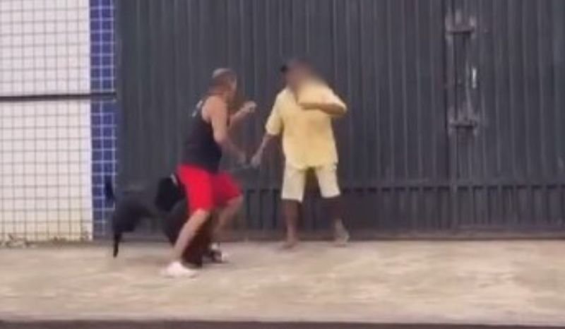 Confusão generalizada: cães e tutores se enfrentam em briga; VEJA Confusão generalizada: cães e tutores se enfrentam em briga; VEJA