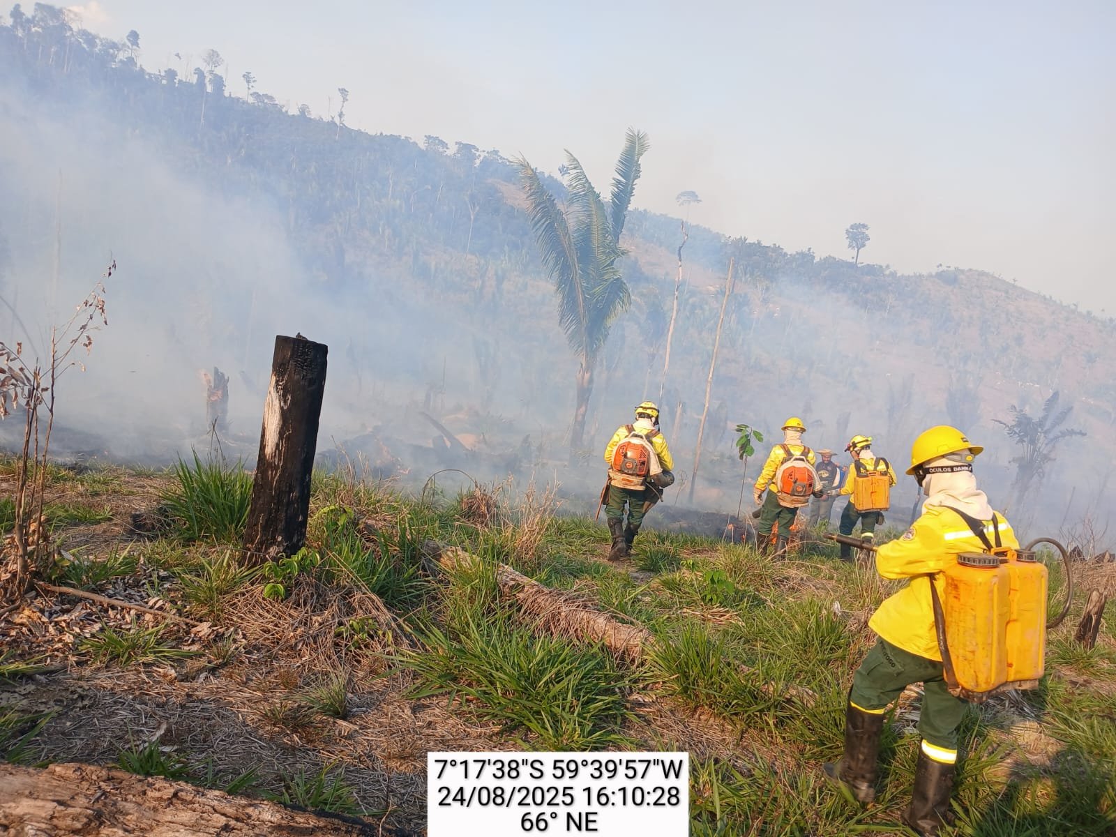 Fonte: Divulgação Ibama-AM IBAMA combate a incêndios florestais nos Campos Amazônicos