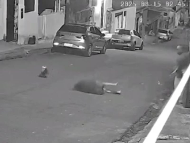 Vídeo: Mulher sofre fratura na coluna após cobrar de ex-marido dívida no bairro Alvorada Vídeo: Mulher sofre fratura na coluna após cobrar de ex-marido dívida no bairro Alvorada