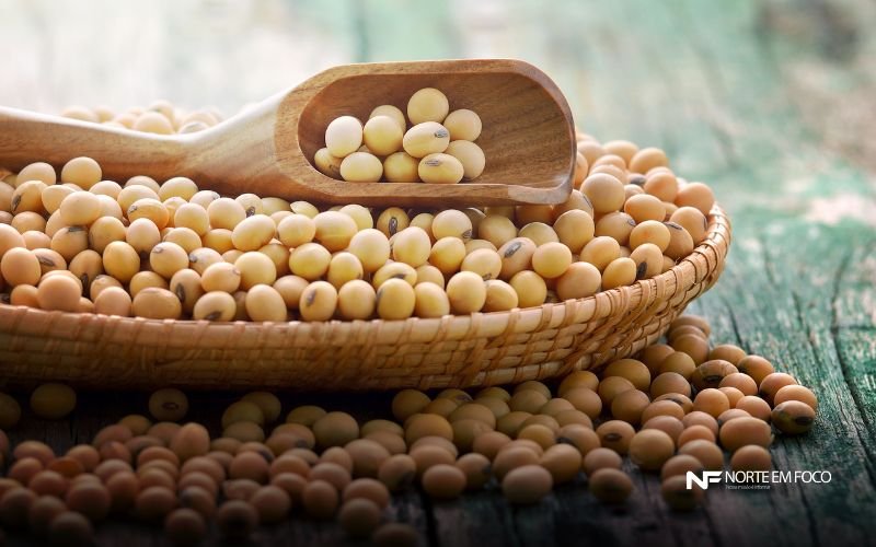 Foto: Canva China amplia compras de soja do Brasil em 15% e reforça virada no mercado