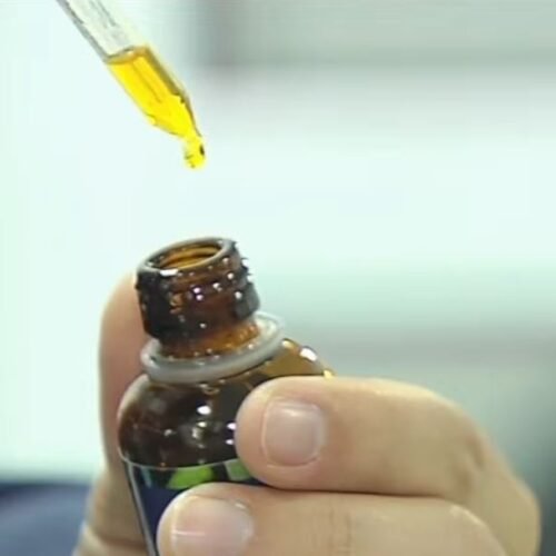 Anvisa aprova cultivo de cannabis por empresas e amplia acesso a medicamentos no Brasil