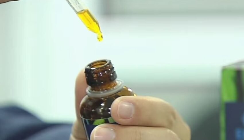 Anvisa aprova cultivo de cannabis por empresas e amplia acesso a medicamentos no Brasil