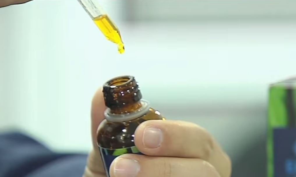 Anvisa aprova cultivo de cannabis por empresas e amplia acesso a medicamentos no Brasil