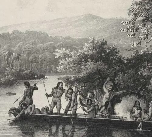 Nas cidades anfíbias, o cidadão é sapo, rã ou perereca? A sapolândia amazônica em questão