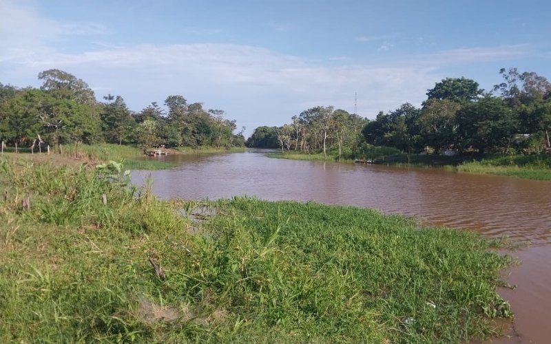 Um novo rumo: maternidade, fé e docência quilombola