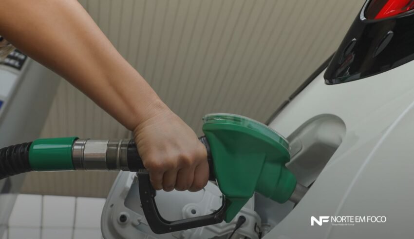 Distribuidoras deverão informar margem de lucro semanalmente à ANP