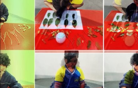 A ciência que nasceu no quintal da escola em Manaus