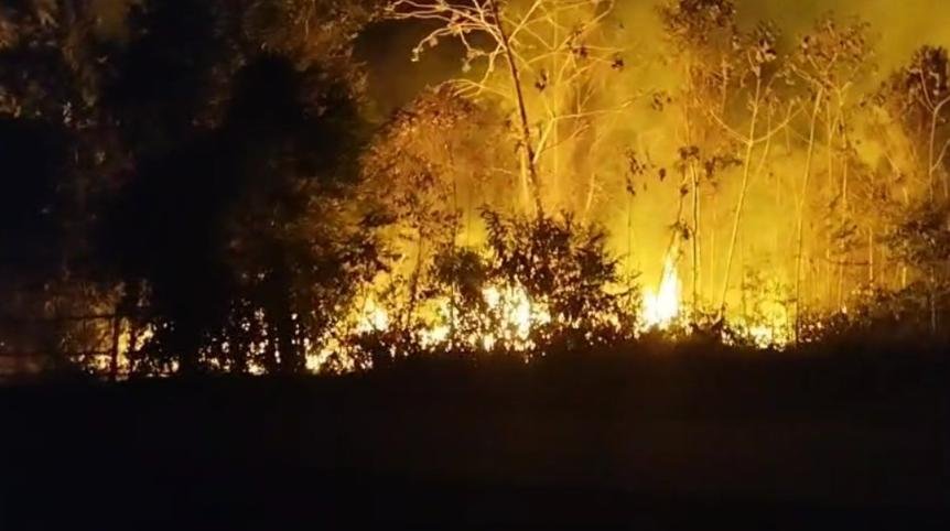 Incêndio de grandes proporções assusta moradores e avança por área de mata em Maués