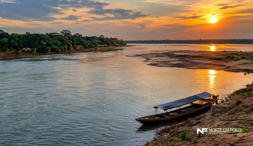 Vazante avança na Amazônia, mas rio Branco chama atenção em Roraima