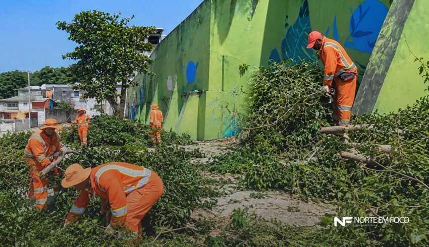 Prefeitura de Manaus corta árvores no Parque das Araras e população questiona ação