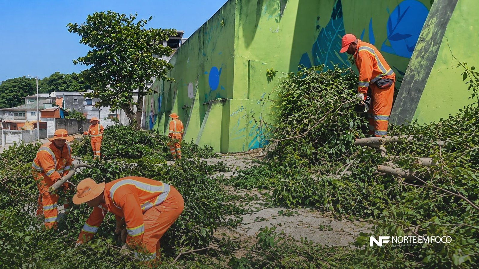 Prefeitura de Manaus corta árvores no Parque das Araras e população questiona ação