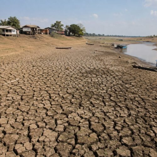 Amazônia teve 38% das áreas habitadas afetadas pela seca durante último El Niño