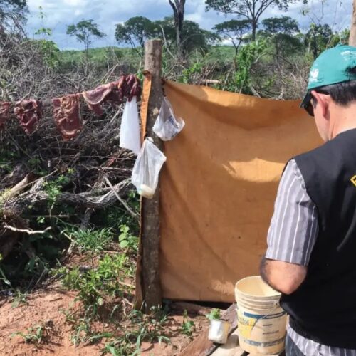 Amazonas soma seis novos empregadores na ‘Lista Suja’ do trabalho escravo