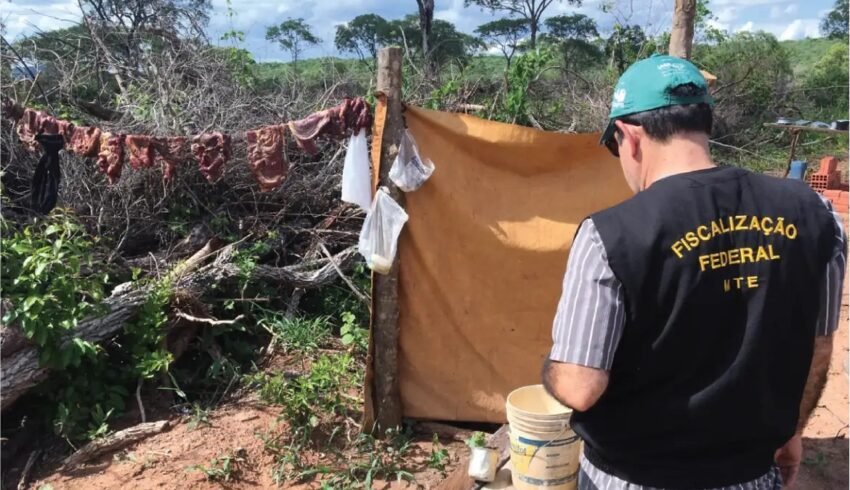 Amazonas soma seis novos empregadores na ‘Lista Suja’ do trabalho escravo